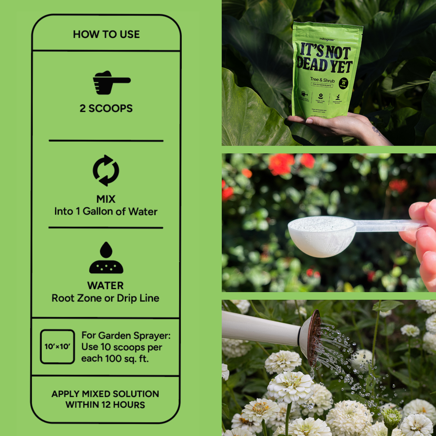 Premium Tree & Shrub Plant Food (Makes 25 Gallons)